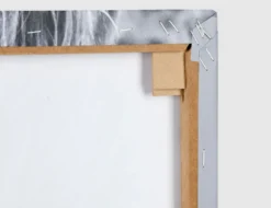 Bild Affe mit Zeitung auf Toilette