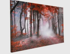 Bild Autumn II