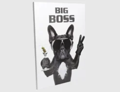 Bild Big Boss