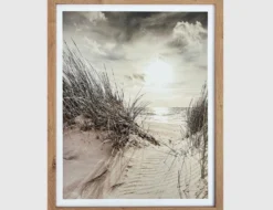 Bild Dünenweg am Meer