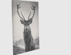 Bild Hirsch Schwarz, Weiß