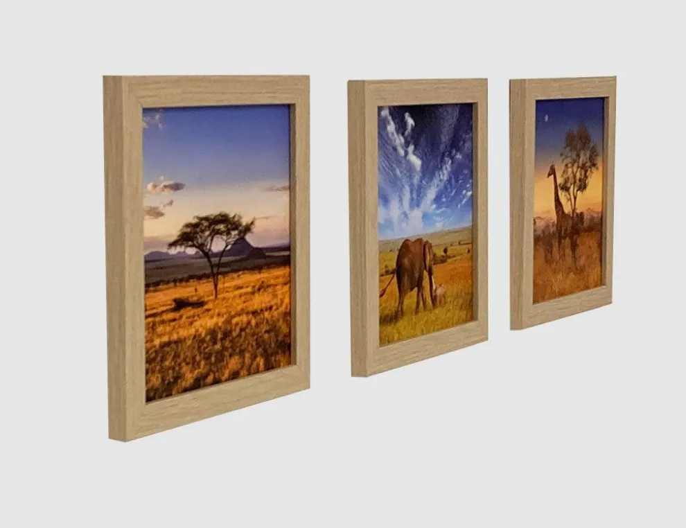 Bild Safari-Impressionen