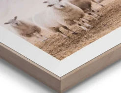 Bild Slim Frame Wood Schafe