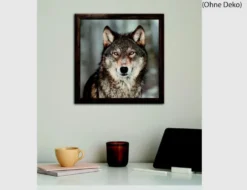 Bild Wolf in winterlicher Landschaft