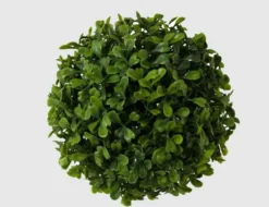 Buchsbaumball