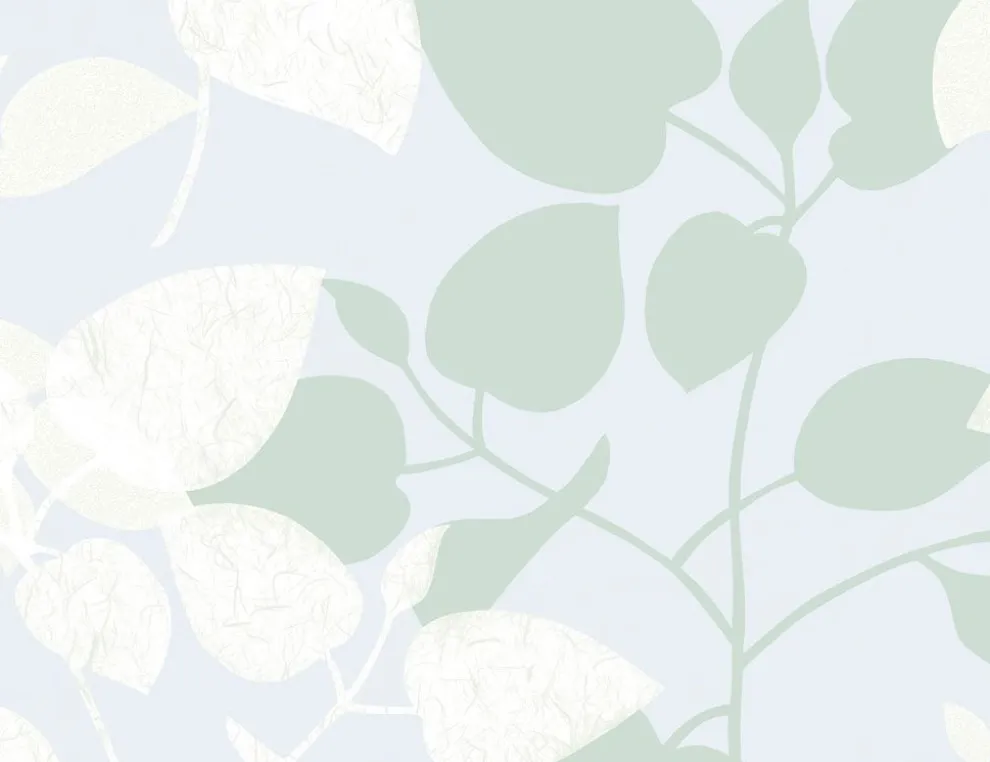 d-c-fix Glasdekorfolie Amena