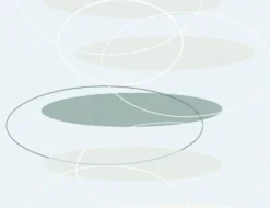 d-c-fix Glasdekorfolie Findus