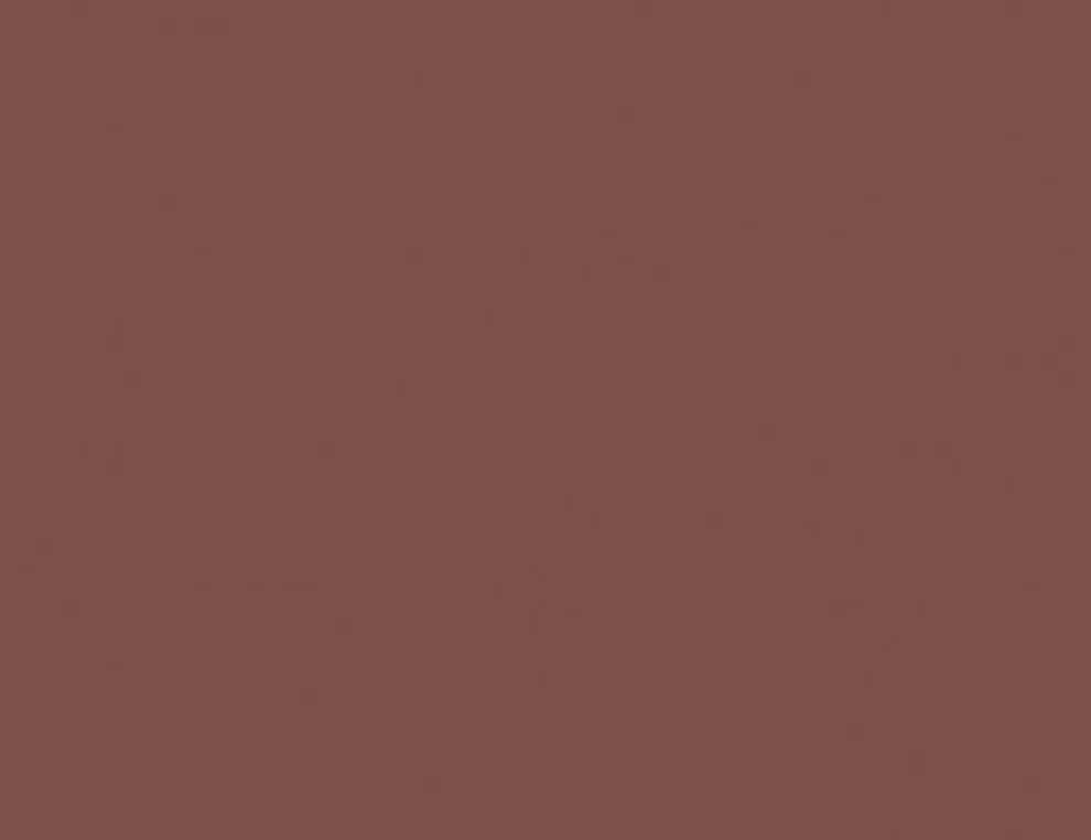 d-c-fix Klebefolie Uni Rusty Red