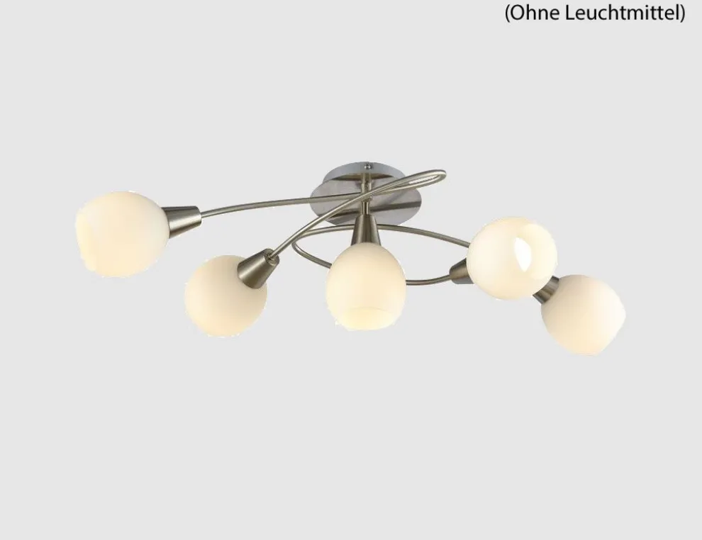 Deckenleuchte 5er