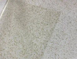 Folie Glitter Gold
