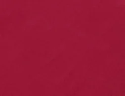 Jerseystoff Uni Berry