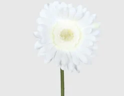 Kunstblume Gerbera weiß