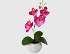 Kunstblume Orchidee