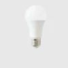 Leuchtmittel LED SMD Birne