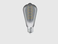 Leuchtmittel Vintage Edison