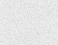 Papiertapete Uni Weiß