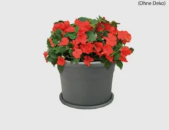 Pflanztopf Cilindro