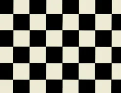 PVC Altenburg Schwarz-Weiß