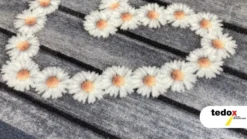 Schmutzfangmatte Home Gänseblümchen