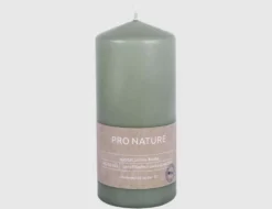 Stumpenkerze Pro Nature Minze