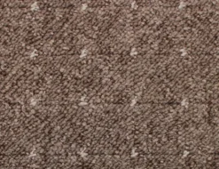 Teppichboden Aachen Braun