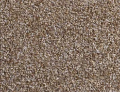Teppichboden Posen Beige