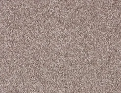 Teppichboden Torquay Beige