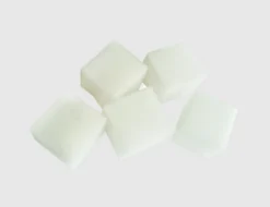 Tupfschwämme
