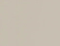 Vliestapete Uni Beige