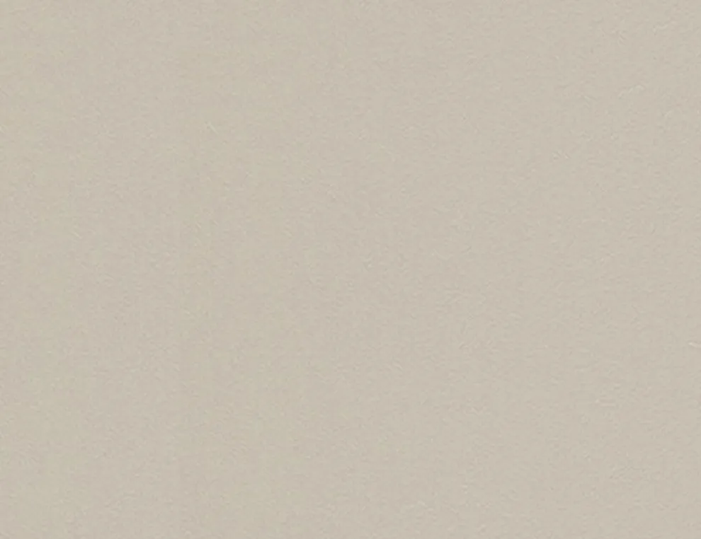 Vliestapete Uni Beige