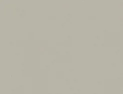 Vliestapete Uni Taupe