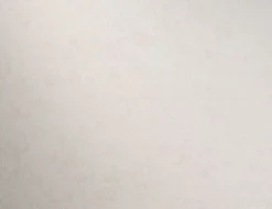 Vliestapete Uni Weiß